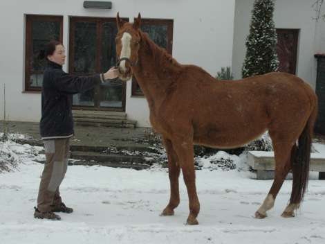 2. obrázek