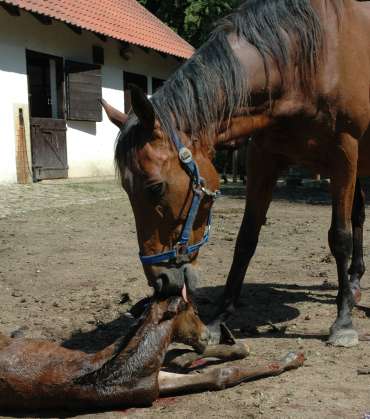 3. obrázek