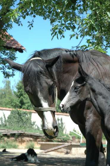 3. obrázek