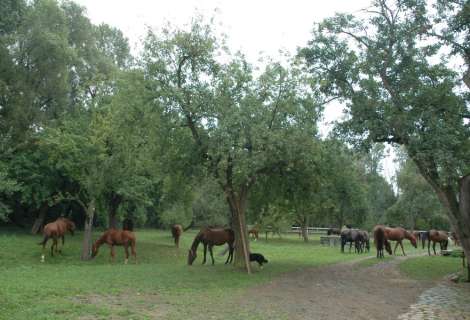 3. obrázek