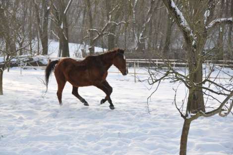 3. obrázek