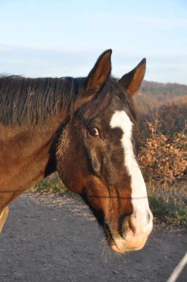 3. obrázek