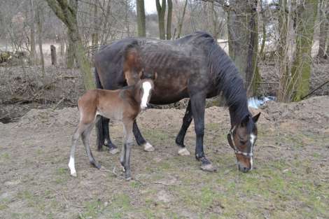 2. obrázek