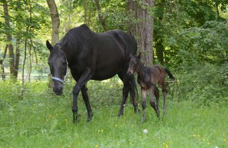 2. obrázek