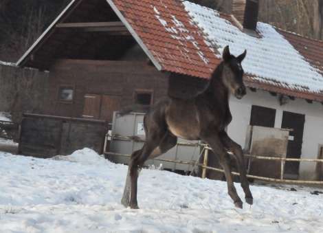 3. obrázek